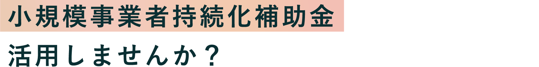 小規模事業者持続化補助金、IT導入補助金活用しませんか?