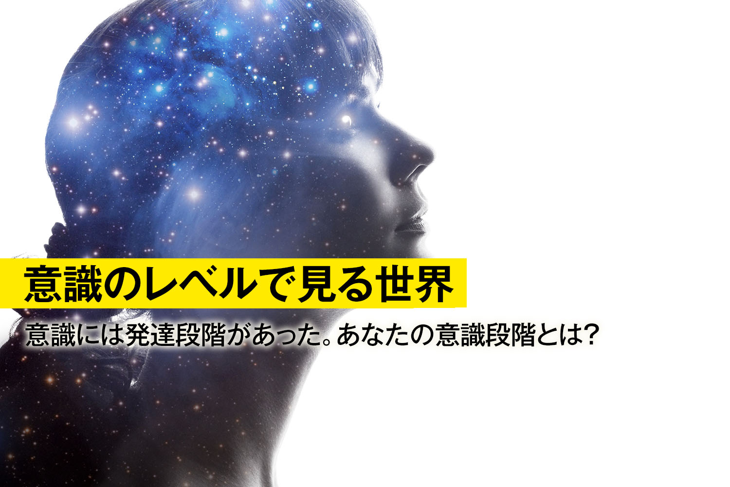 意識のレベルで見る世界 Milestonedesign